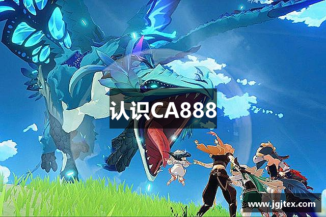 认识CA888